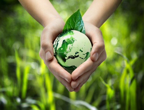 environmentsustainability.jpg