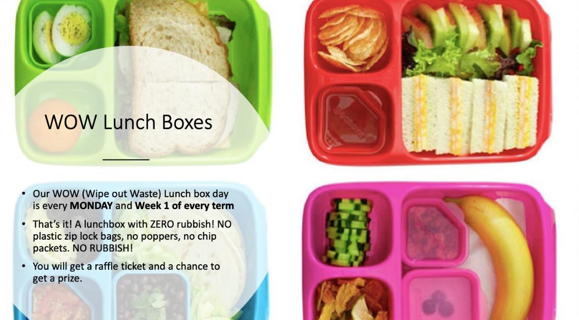 WOWLunchbox.jpg